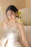 黔西南布依族苗族自治州、六盘水、阿里地域、